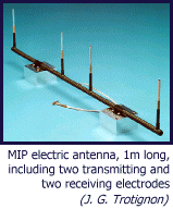 MIP