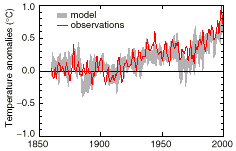 Surface temperature trends