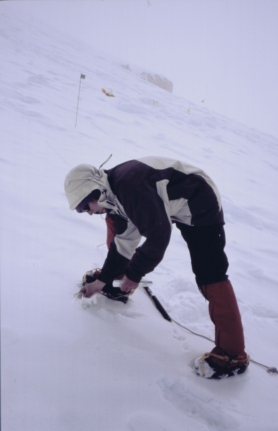 Collecting Snow