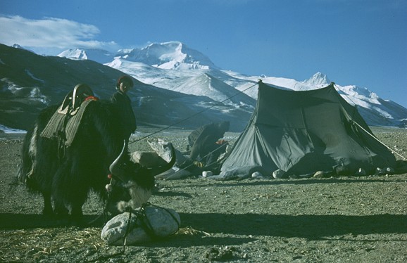 From Tibet